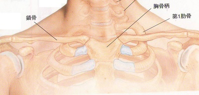 第一肋骨２.JPG