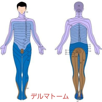 左胸の痛みについて 左胸の痛みについて