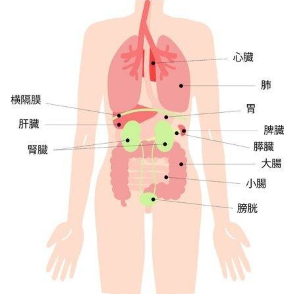 肩と肩甲骨周りの痛みと呼吸が浅い 男性40代 京都市 あき鍼灸院